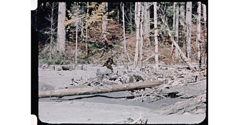 Tulsan Completes Restoration of Famous 1967 ‘Bigfoot’ Film