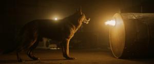 Til Schweiger Drama-Thriller ‘The Barrel’ Sets Sept. 18 Release on Apple TV – image 4